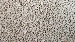 Dodałem to do gleby — i rośliny przestały gnić i więdnąć